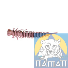 Силикон ANACONDA LARWA  75 мм  FL 001  5 шт