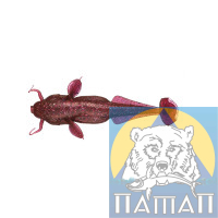 Силикон ANACONDA CAT FISH  75 мм  FL 502  4 шт