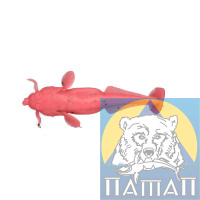 Силикон ANACONDA CAT FISH  75 мм  FL 800/1  4 шт