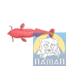 Силікон ANACONDA CAT FISH 75 мм FL 800/1 4 шт