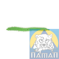 Силикон ANACONDA SEA WORM  75 мм  FL 504  10 шт
