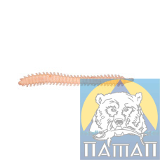 Силикон ANACONDA SEA WORM  75 мм  FL 800/1  10 шт
